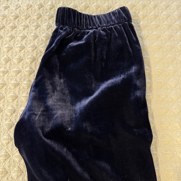 J.Crew Velvet Pants - Picture 4 of 5